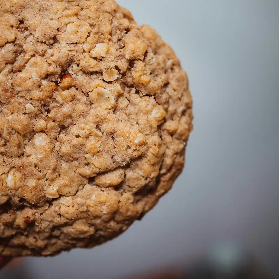 Close up of a chewy oat cookie with visible oat flakes
