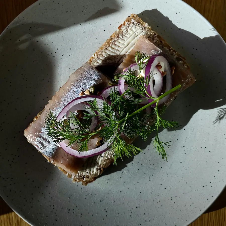 Oily fish fillet on rye toast with dill and red onion