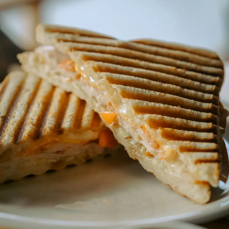 Toasted melt sandwich cut in half