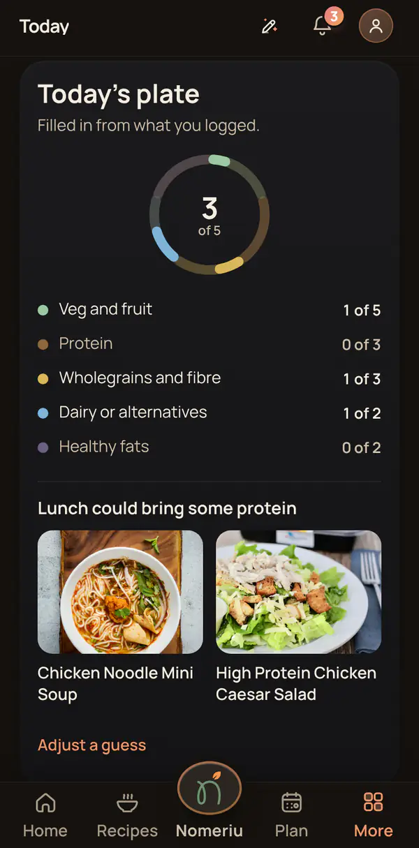 The Nomeriu plate view showing the balance of a meal