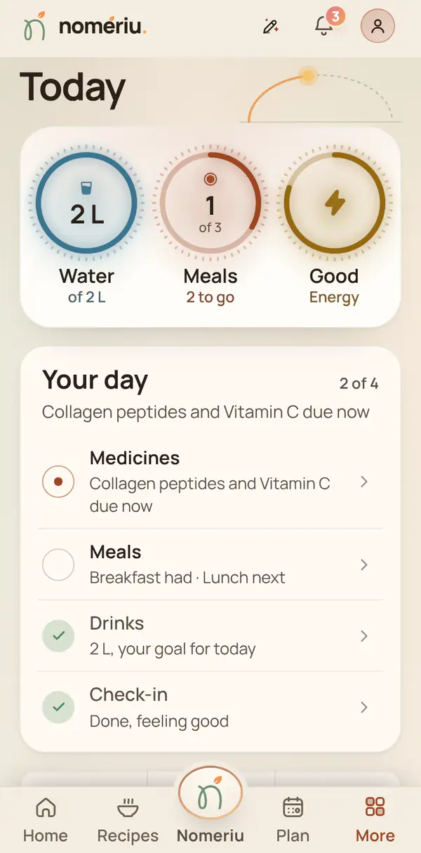 The Nomeriu Today screen with rings for water, meals and the check-in
